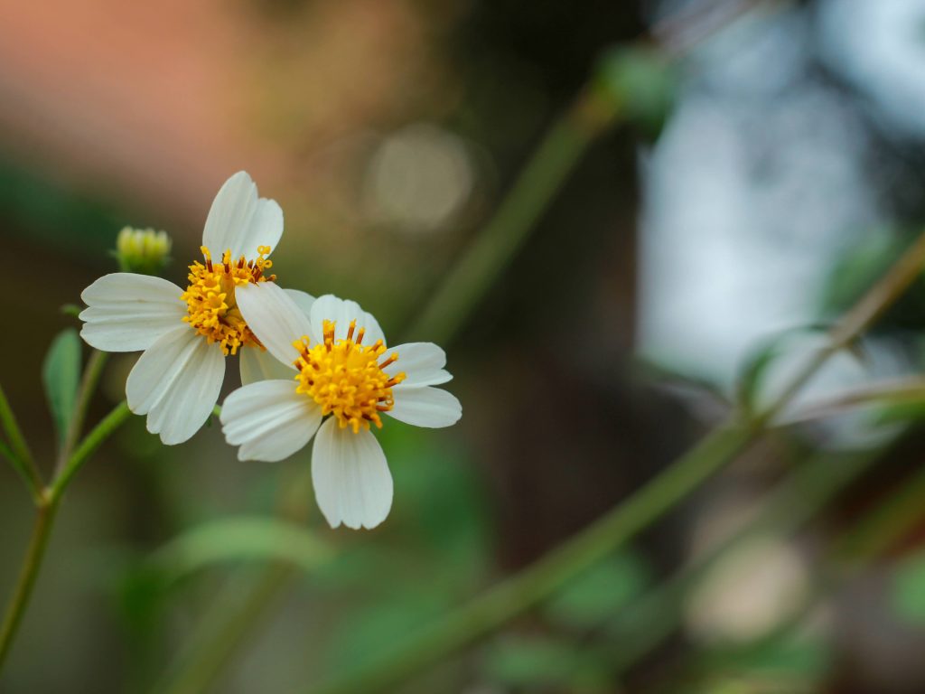 Adab Orang Memberi Utang